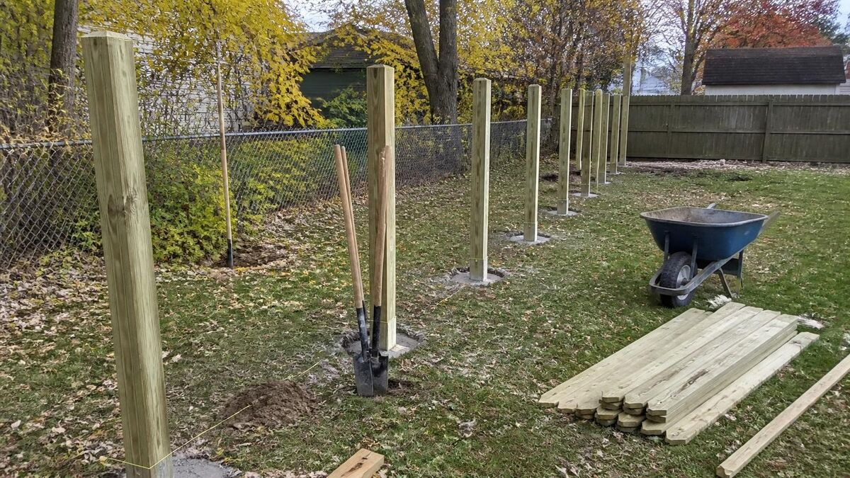 Newly set pressure-treated wood fence posts in a row across a backyard, with stacked boards and a wheelbarrow on the grass